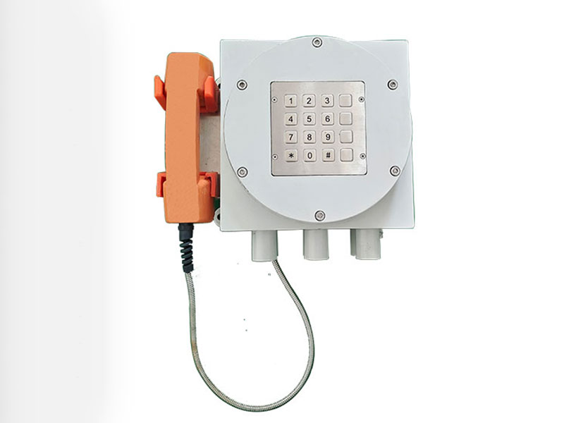 二月二 龍?zhí)ь^，恭祝大家步步高升